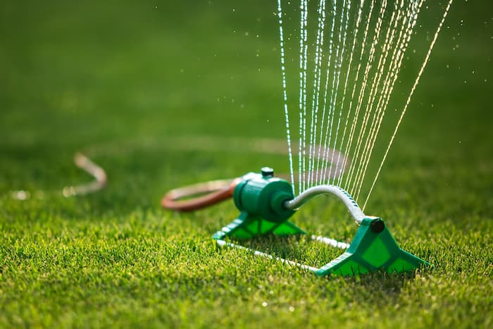 Pielęgnacja zieleni i krzewów (podmień zdjęcie)